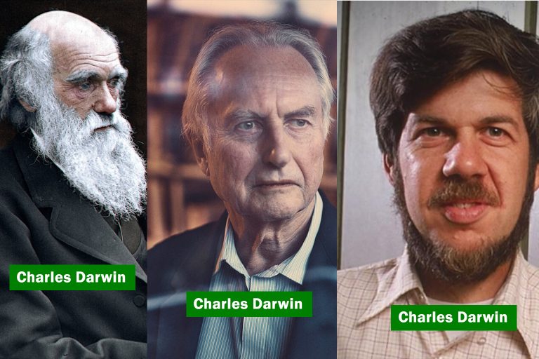 Why Understanding Evolution Could Change How You See Life Itself ...
