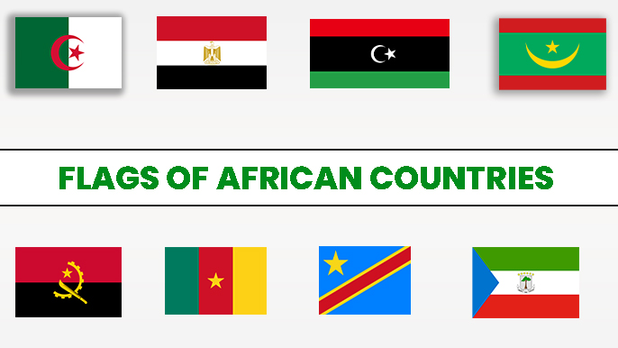 African flag quiz game