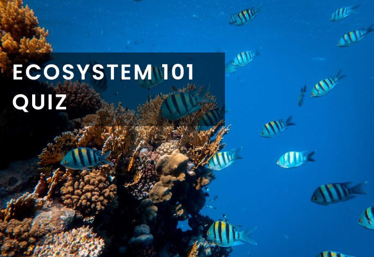 Intro to ecosystem quiz