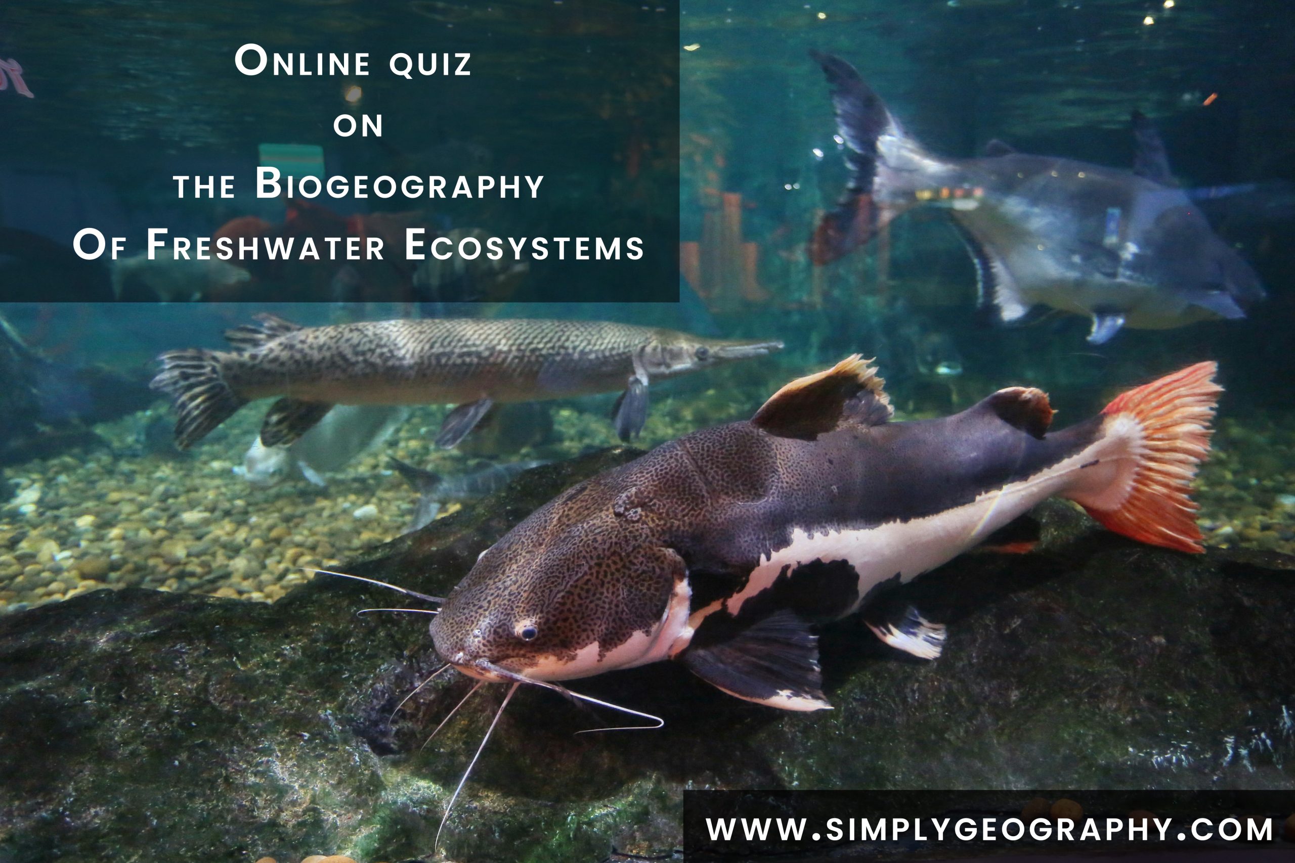 Freshwater biogeography quiz